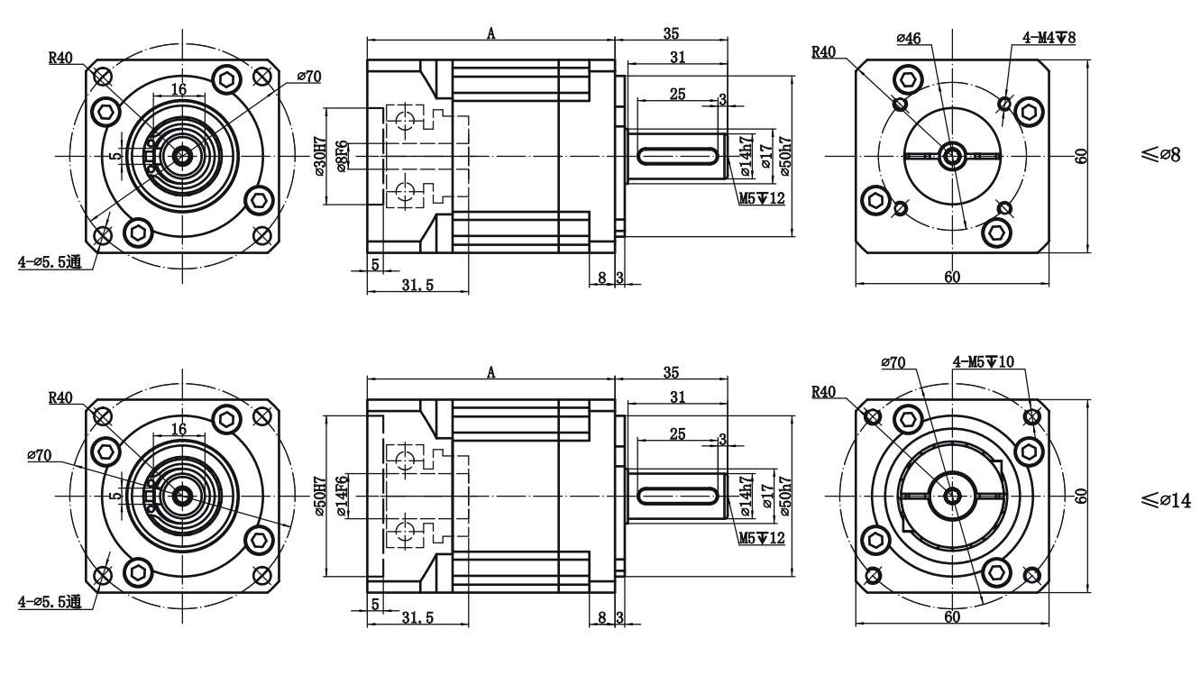 CGX060(图1)